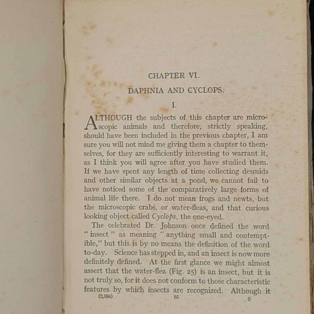 microscope, show to the children vintage book