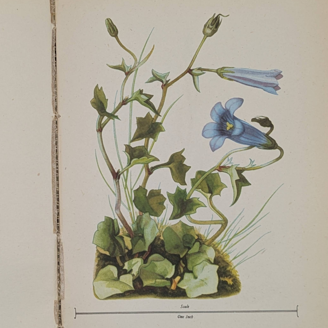Untitled_20260515_145613.png