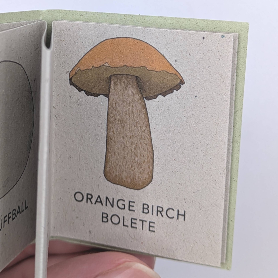 Tiny+Book+wild+mushroom+%283%29.png