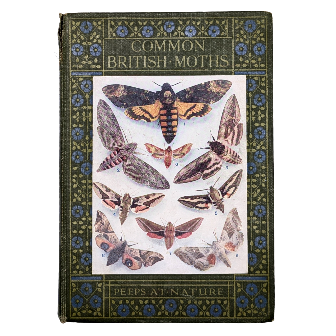 Untitled - 27 June 2026 at 17.13.37 (22).png