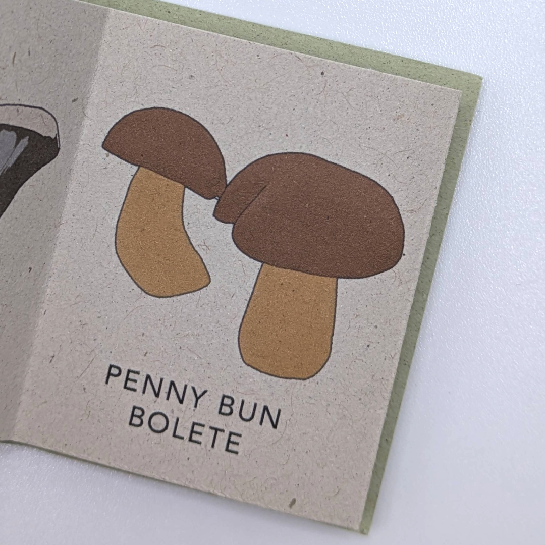 Tiny+Book+wild+mushroom+%284%29.png