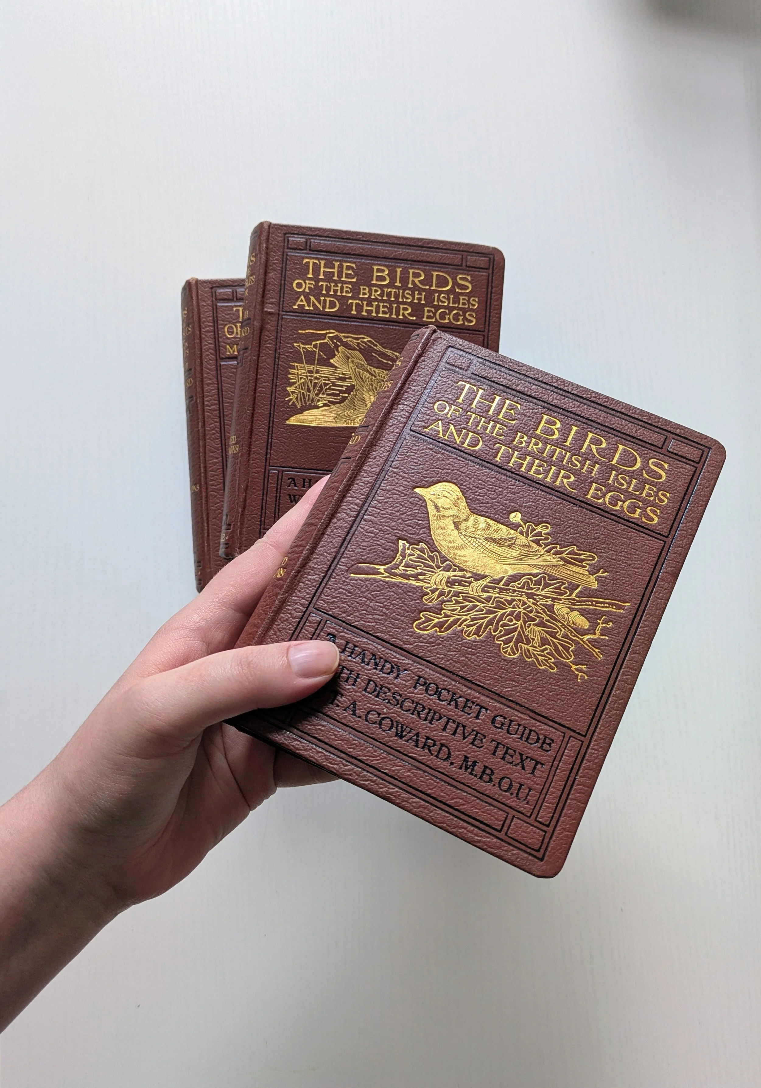 Natural History Book Collection