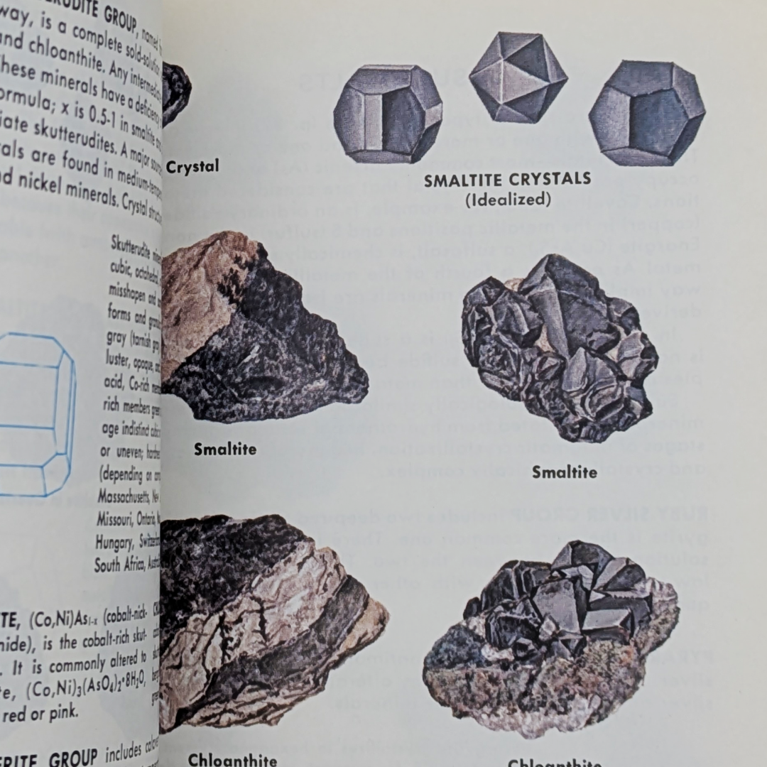 Rock & Minerals Book (4).png