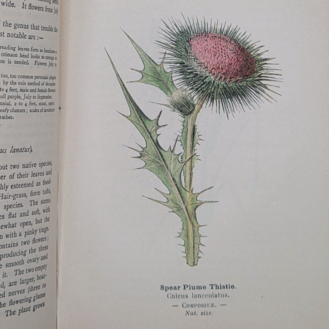 Vintage Nature Book (10).png