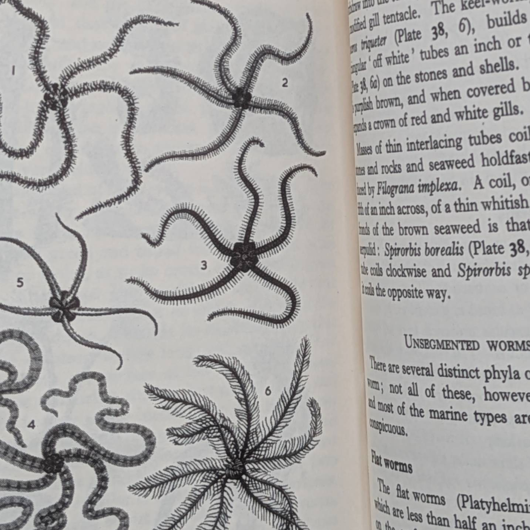 Vintage Observers Books (10).png