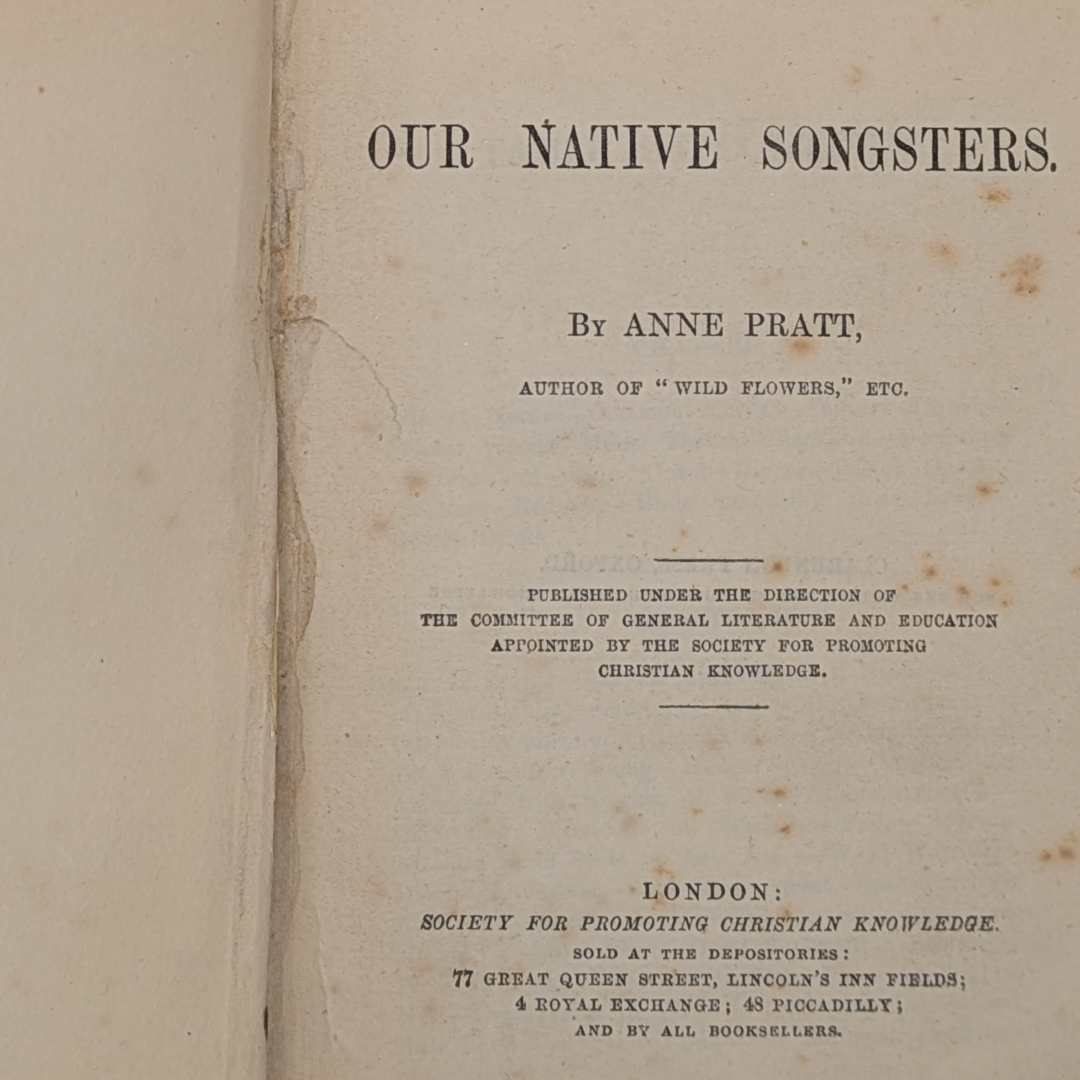 anne pratt birds book (4).png
