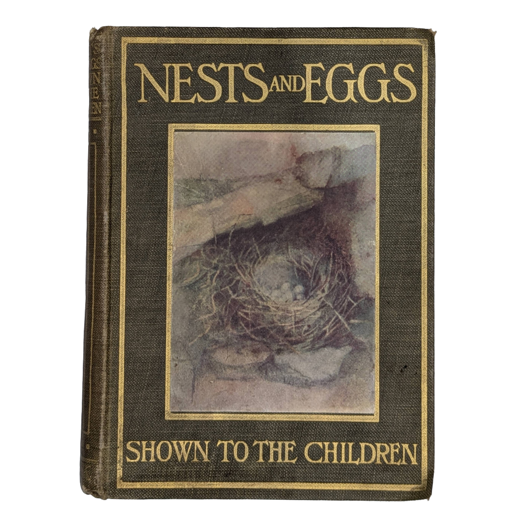 Nests & Eggs