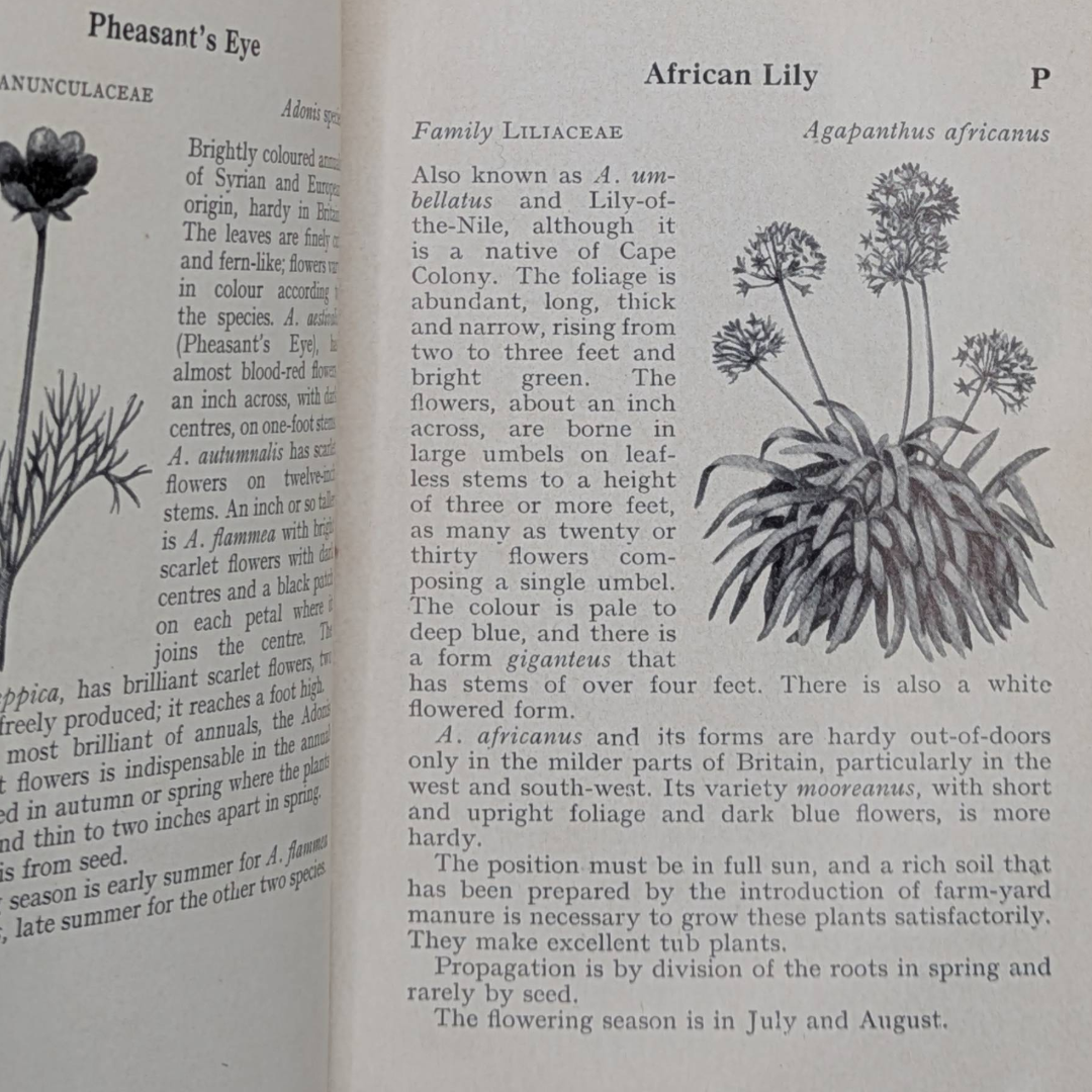 Wild Flowwrs Observer book (6).png