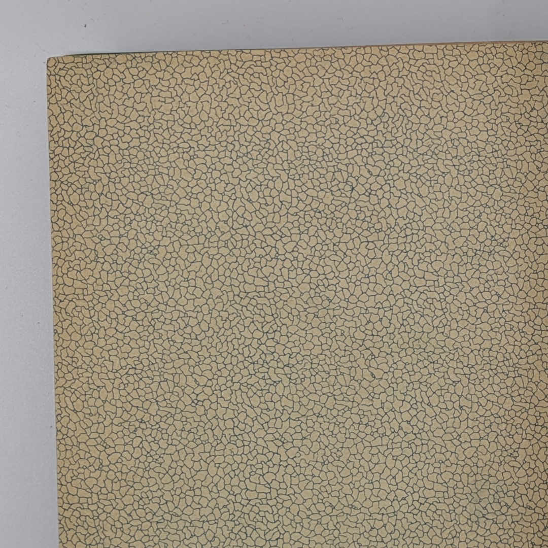 anne pratt birds book (3).png