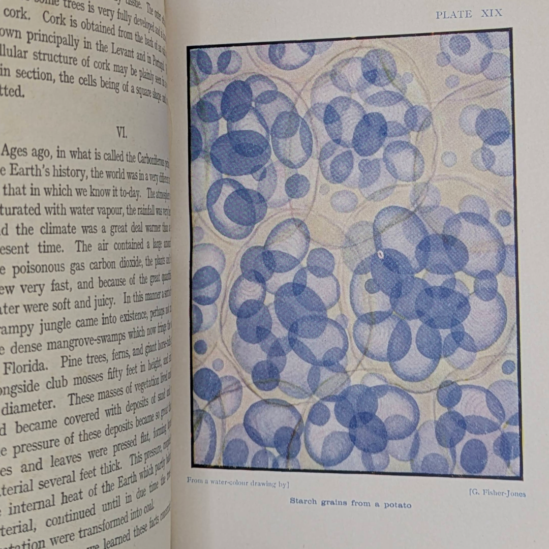 microscope, show to the children vintage book