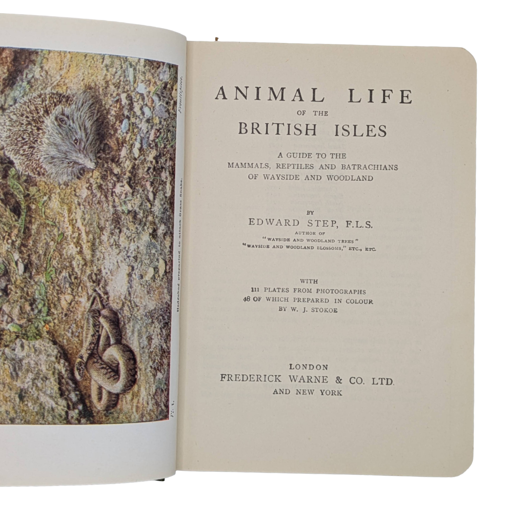 Animal Life, 1948 vintage natural history book