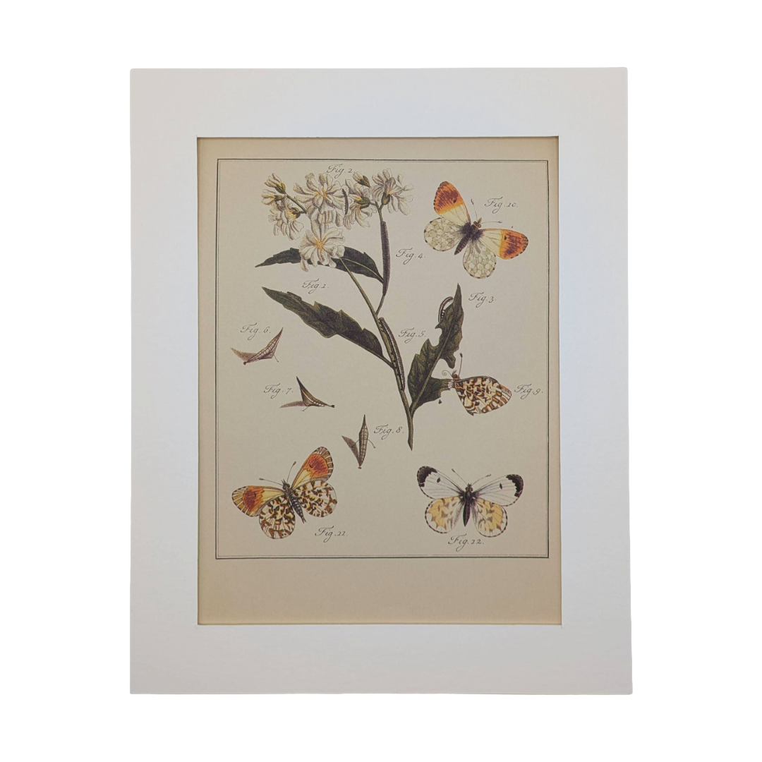 Untitled_20260115_132235.png (Copy)