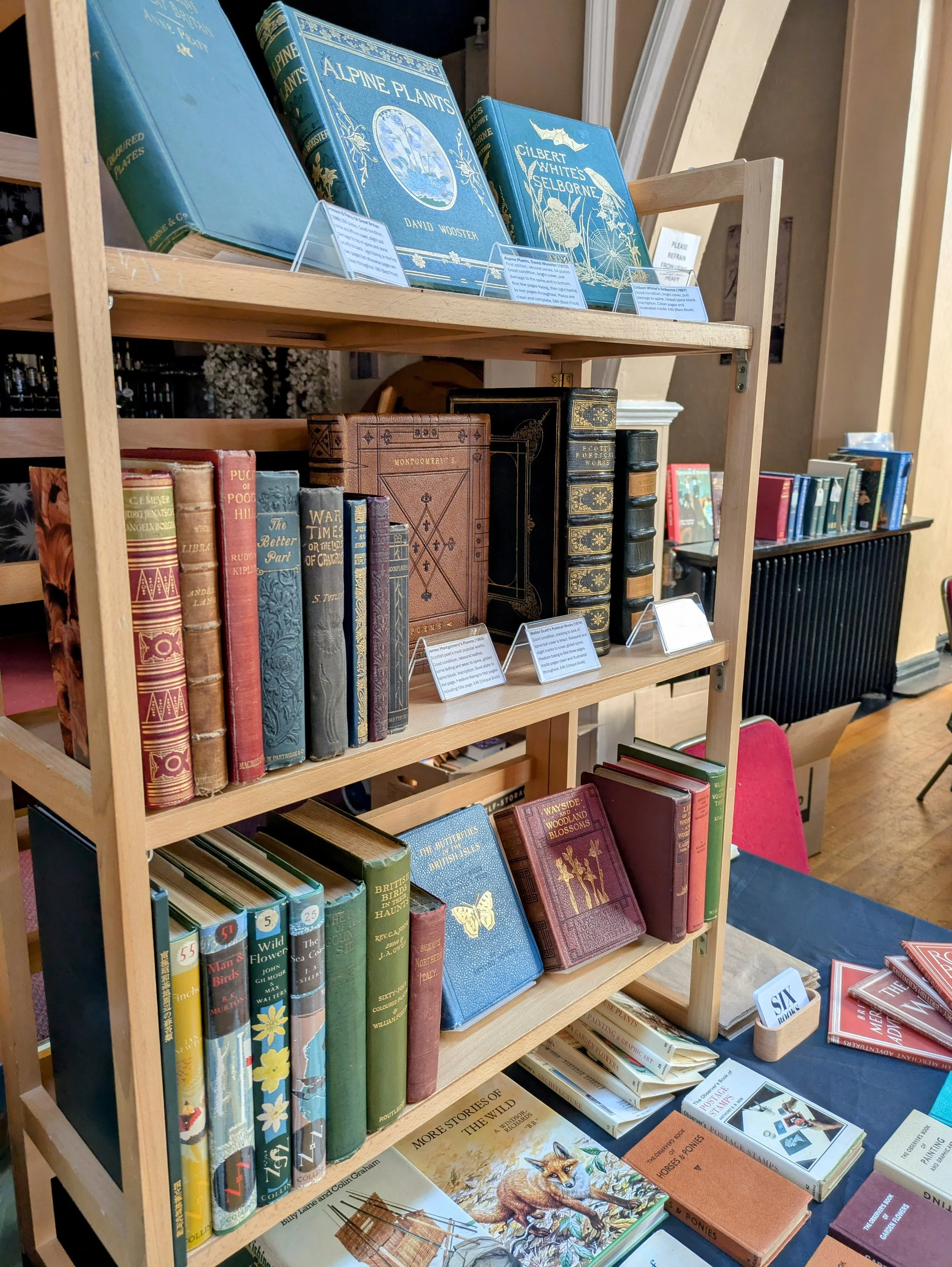 rare books book fair shelf