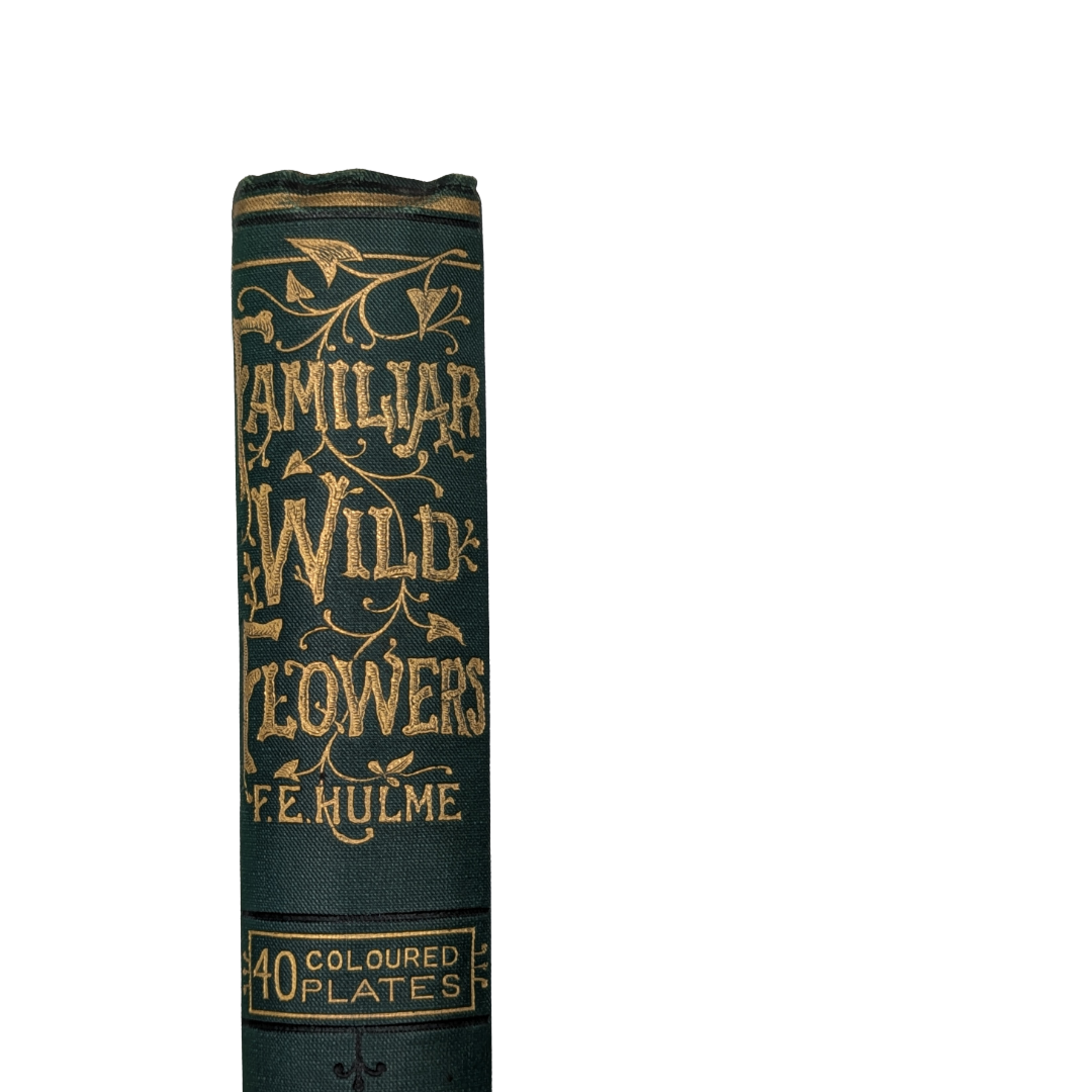 wildflower books (2).png