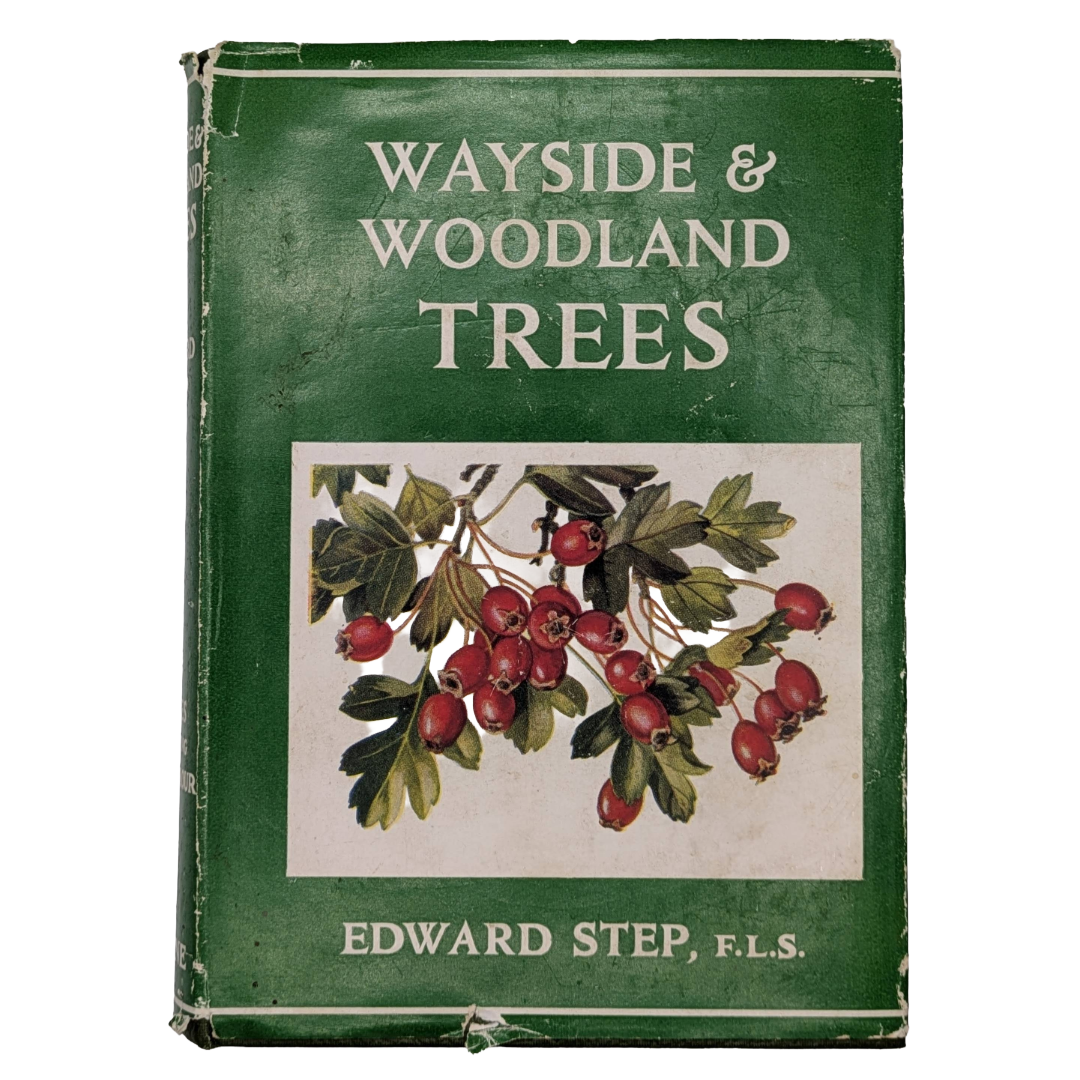 Woodland Trees, 1960