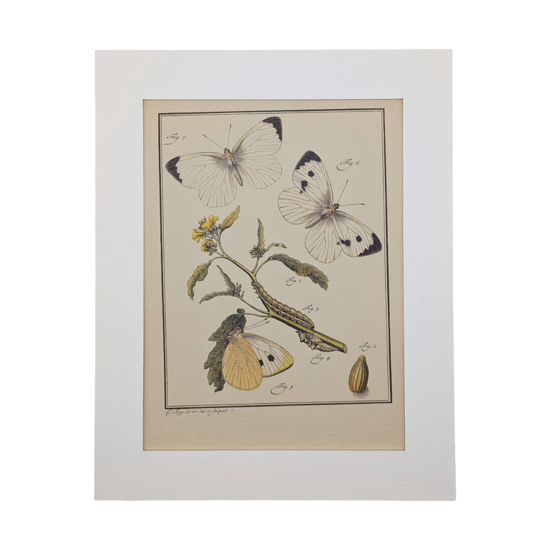 Untitled_20260115_132002.png (Copy)