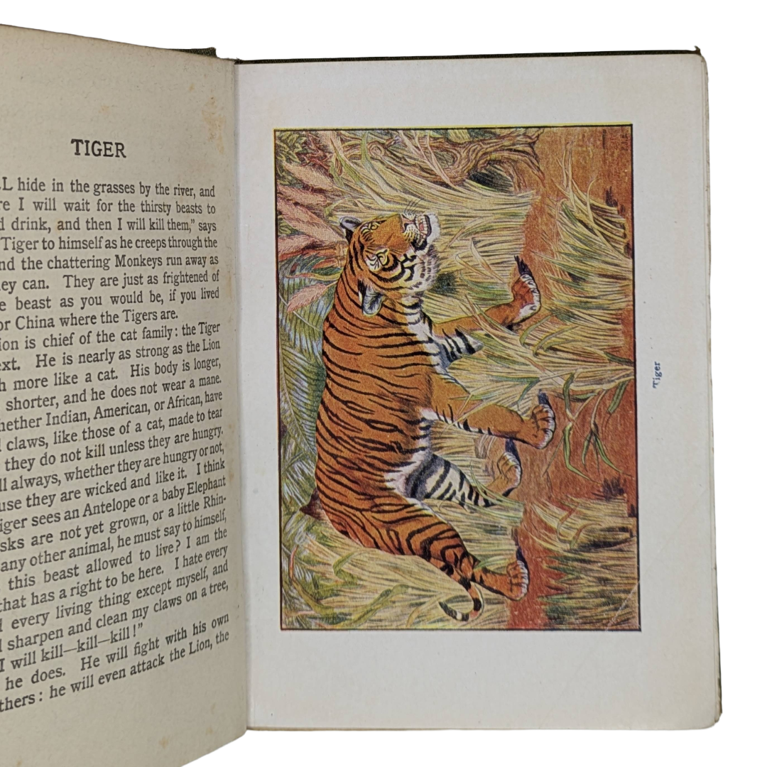 Beasts, show to the children vintage book