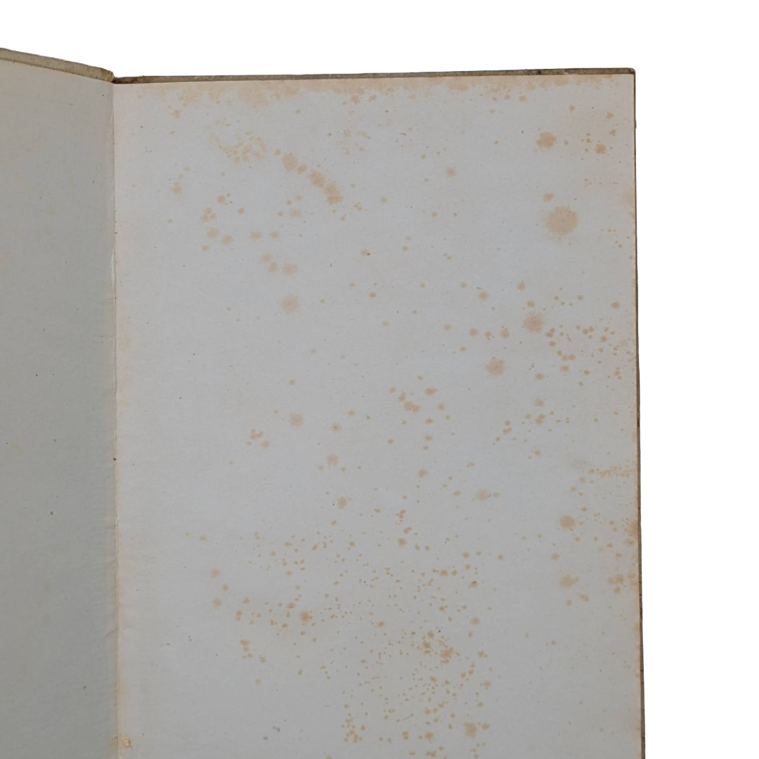 Untitled - 17 June 2026 at 12.28.15 (3).png