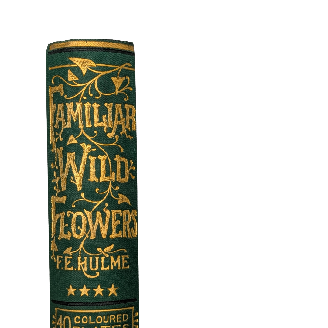 familair wildflowers (2).png