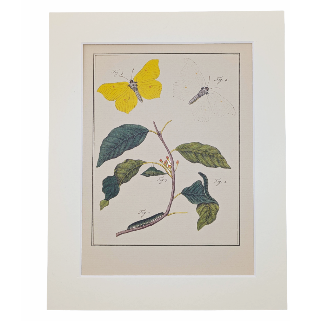 Untitled_20260508_191157.png
