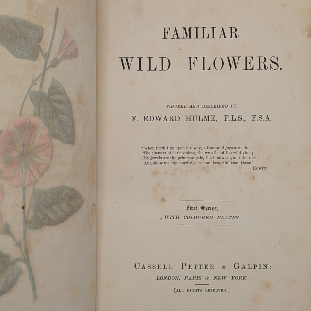 wildflowers book (4).png