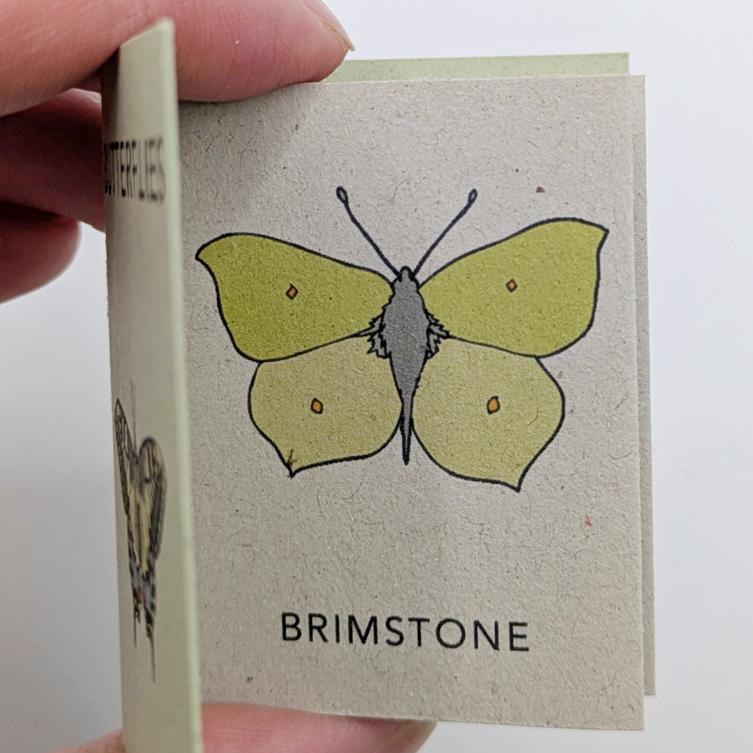 Tiny Books Butterflies (2).png