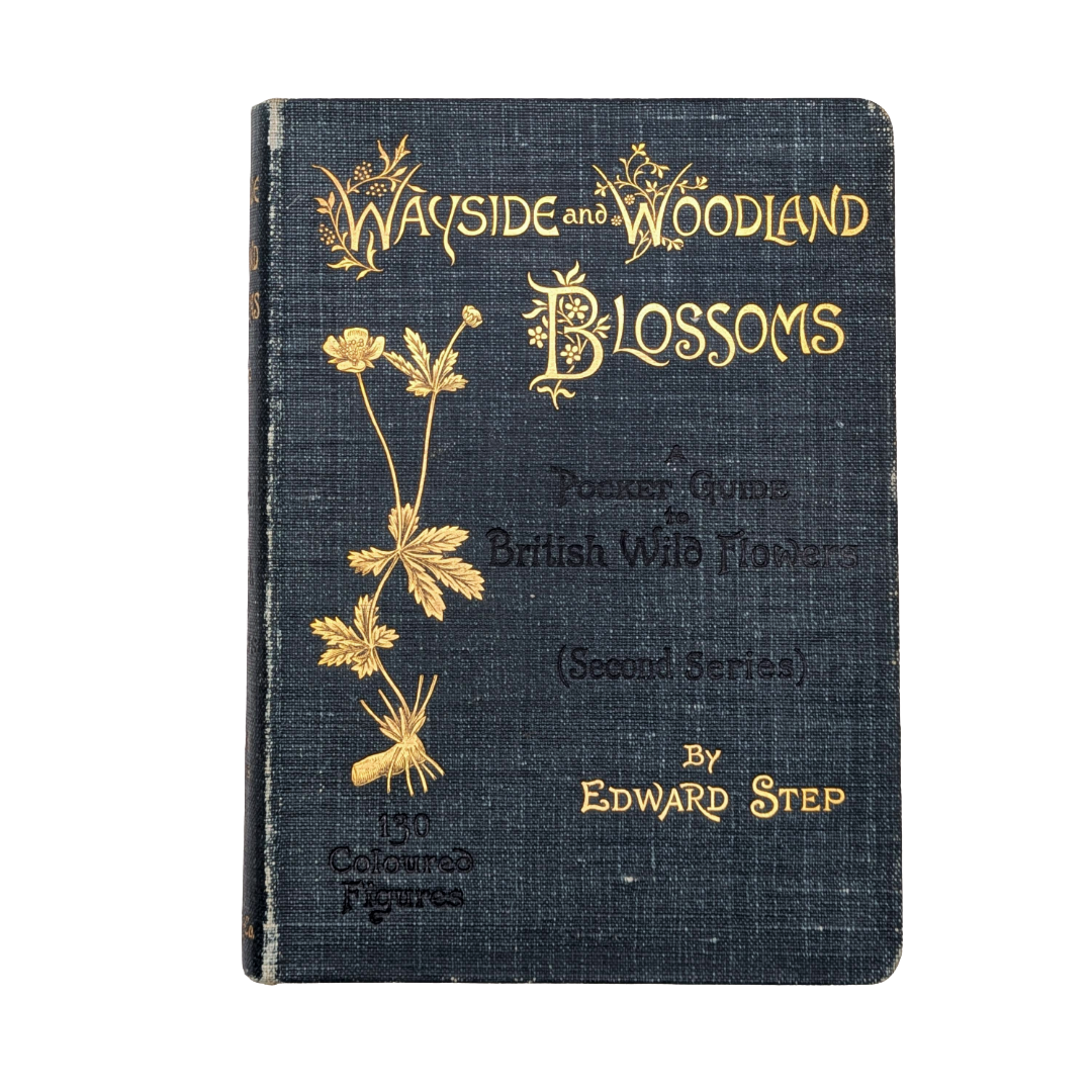 Blossoms, 1896