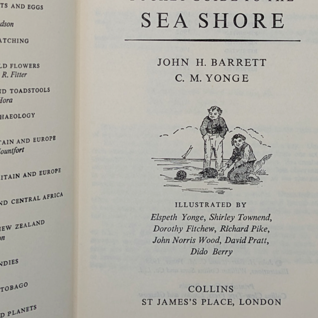 Sea Shore  (3).png