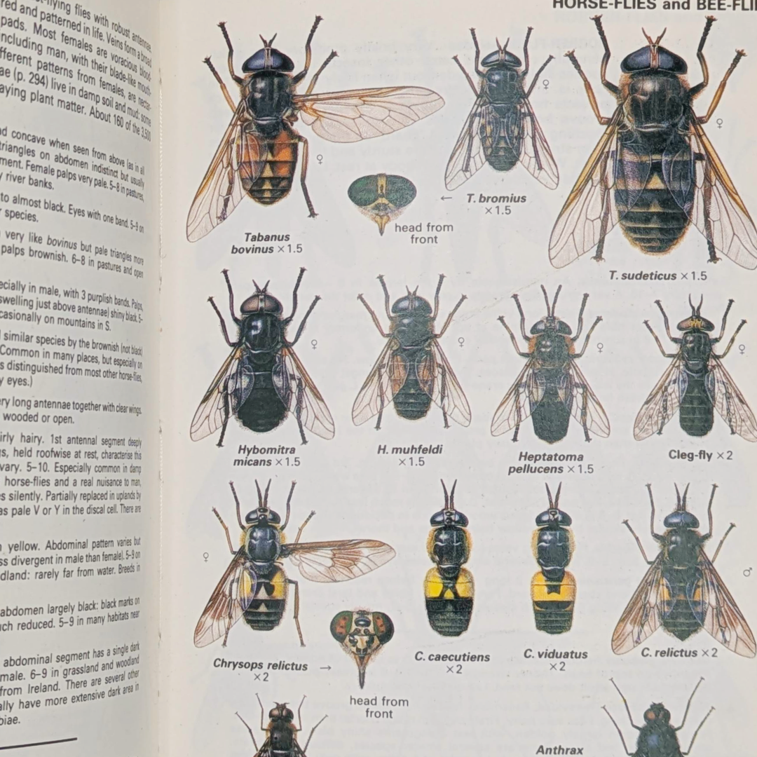 Untitled_20260509_142953.png