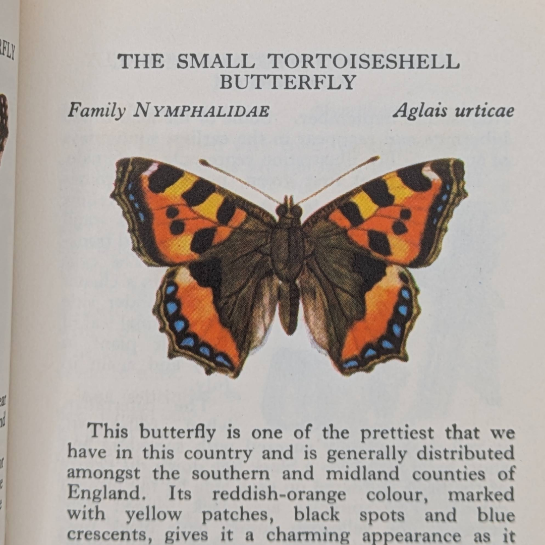 Butterfly Observers Book (1).png