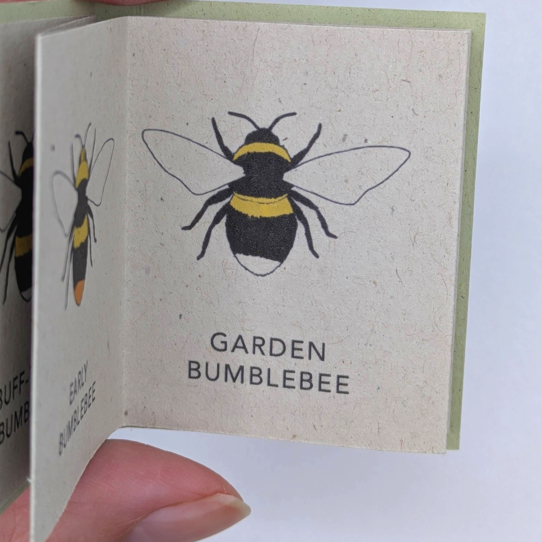 tiny+books+gifts+for+natural+history+%282%29.png