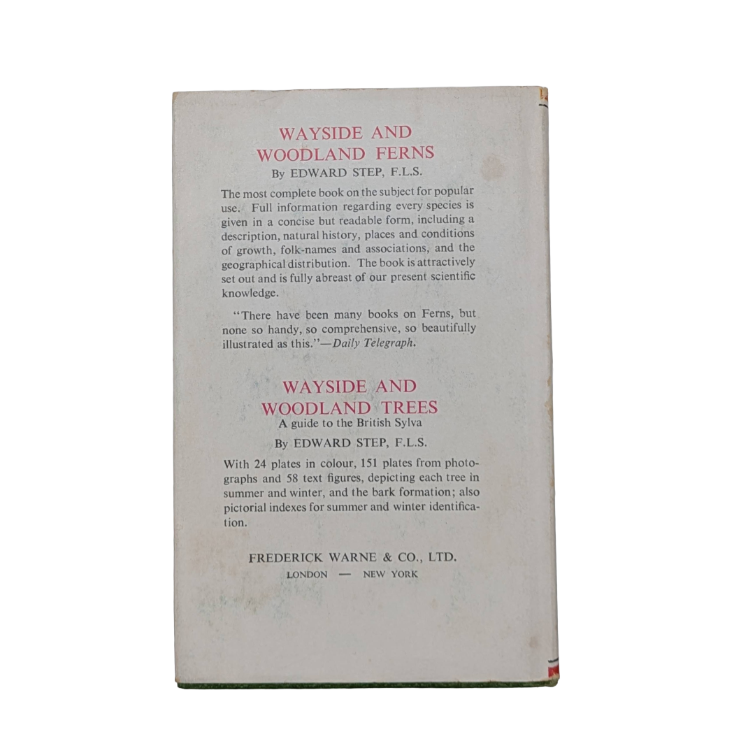 Untitled - 07 August 2026 at 15.15.19 (1).png