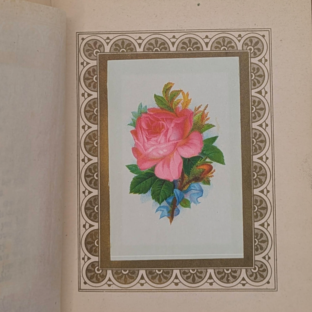 Basket of flowers rare book (5).png