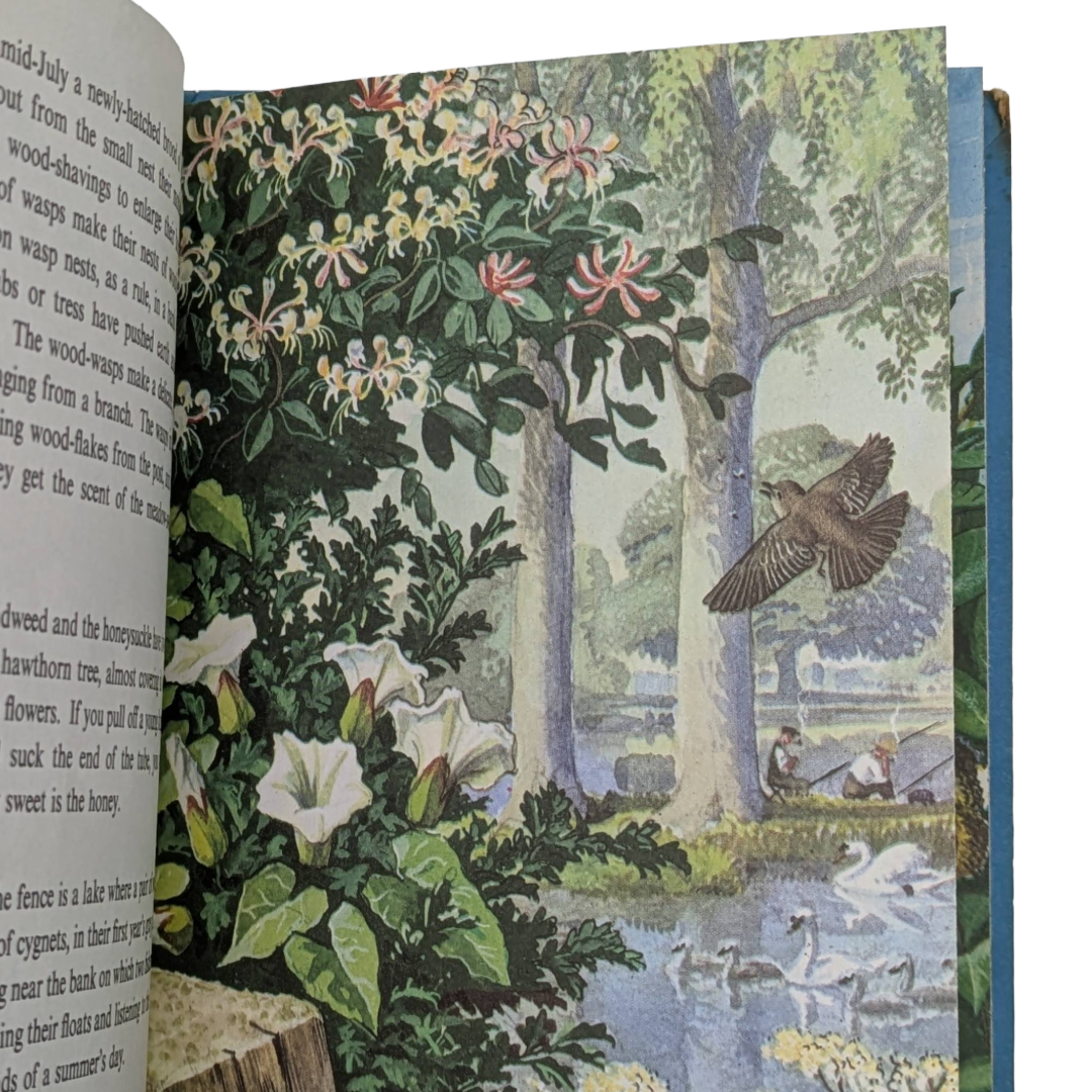 vintage children's book illustrated colour plates Six Bookshop
