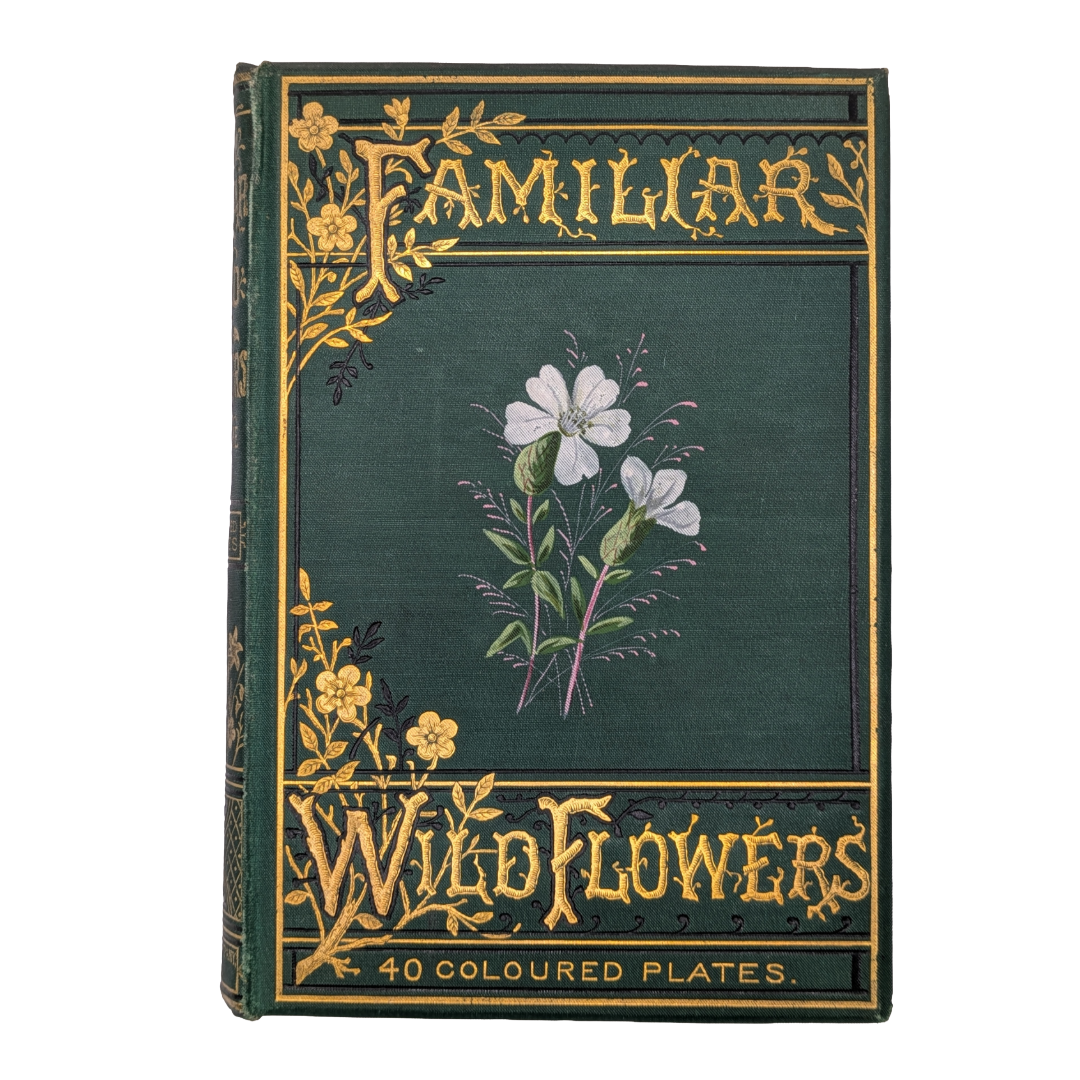 Familiar Wildflowers 1st