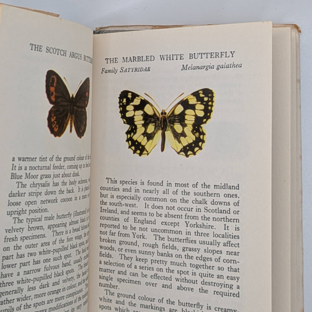 Butterfly Observers Book (6).png