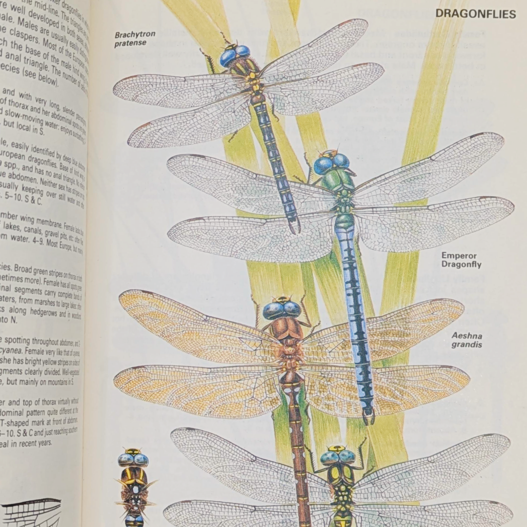 Untitled_20260509_142903.png