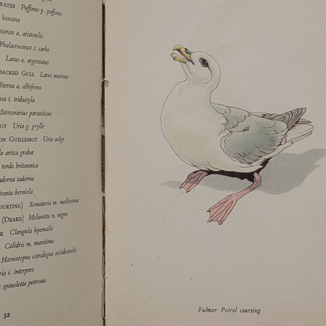 Untitled_20260515_154139.png
