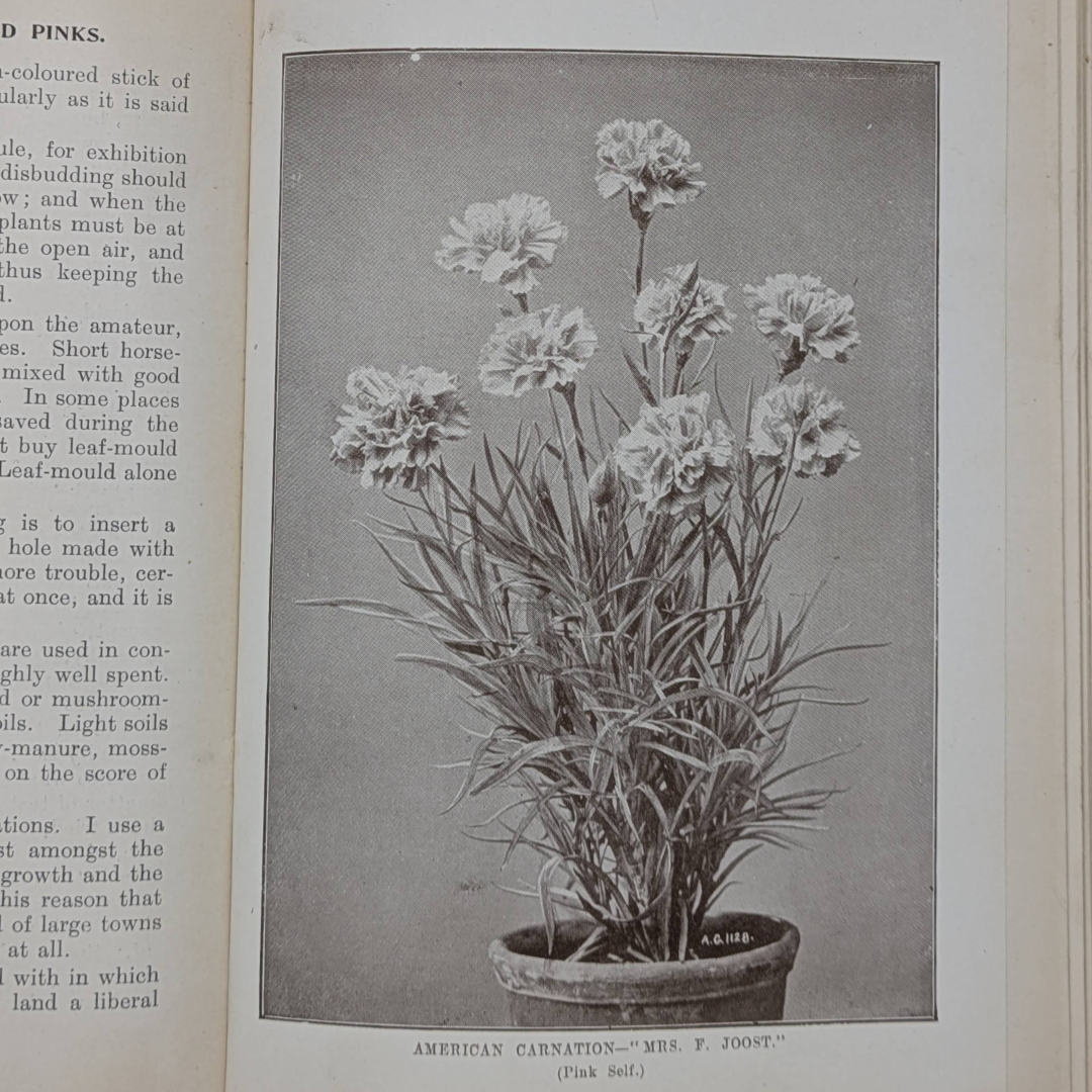 Untitled_20260518_211407.png