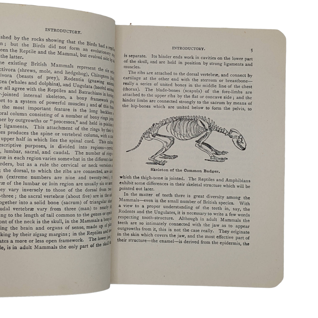 Animal Life, 1948 vintage natural history book