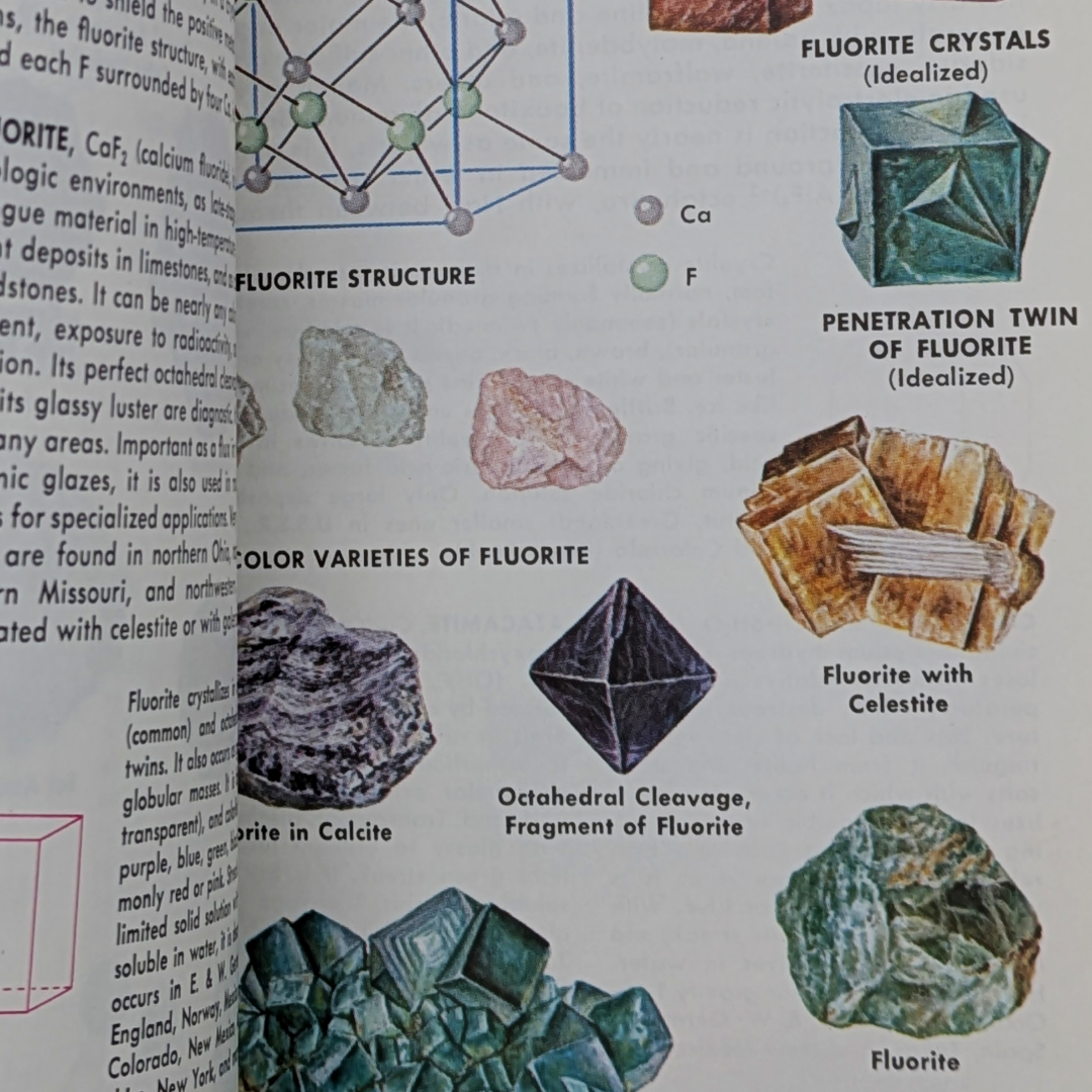 Rock & Minerals Book (3).png
