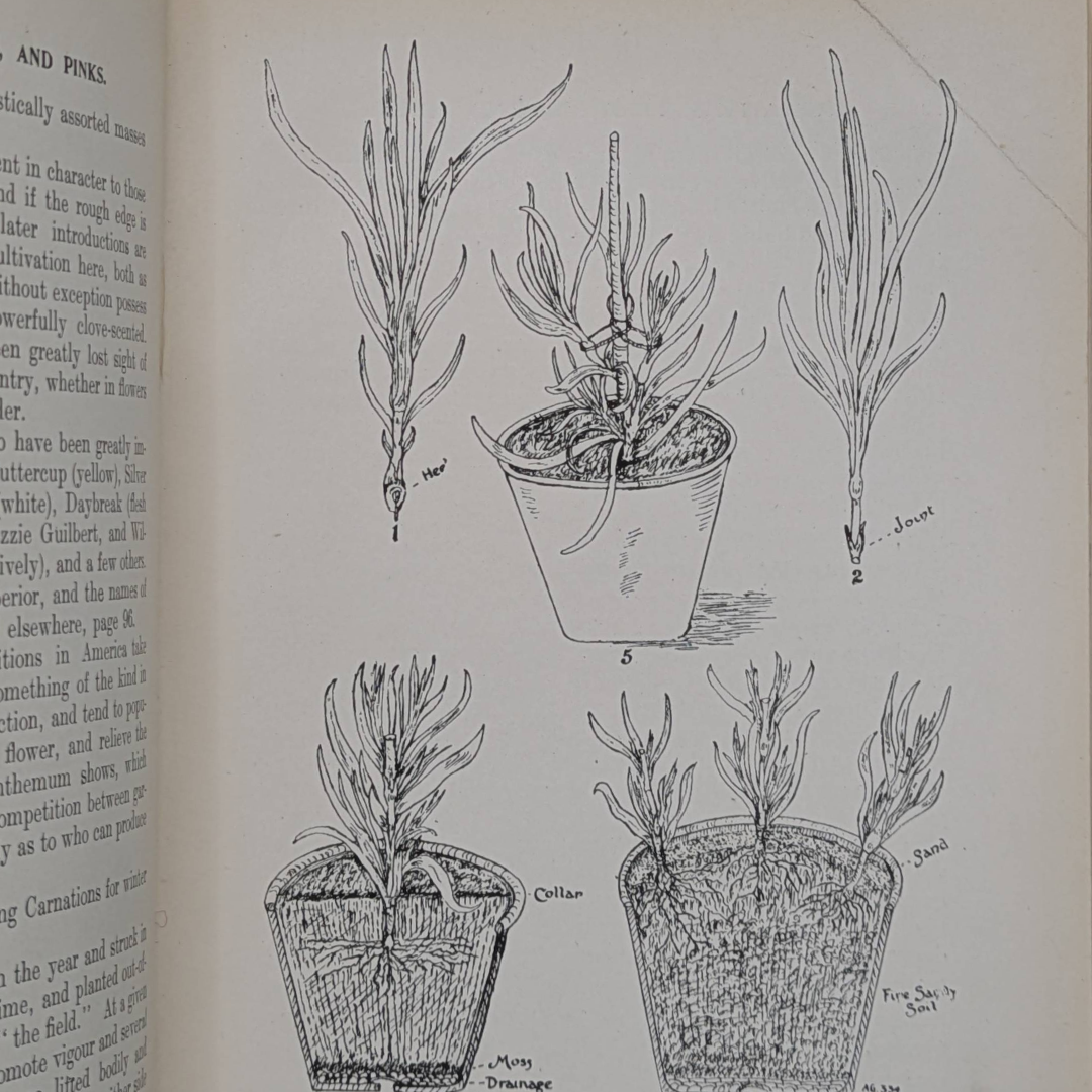 Untitled_20260518_211218.png