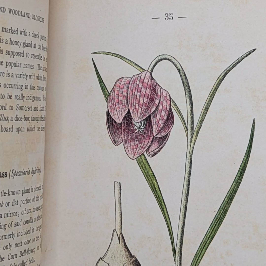Vintage Nature Book (8).png