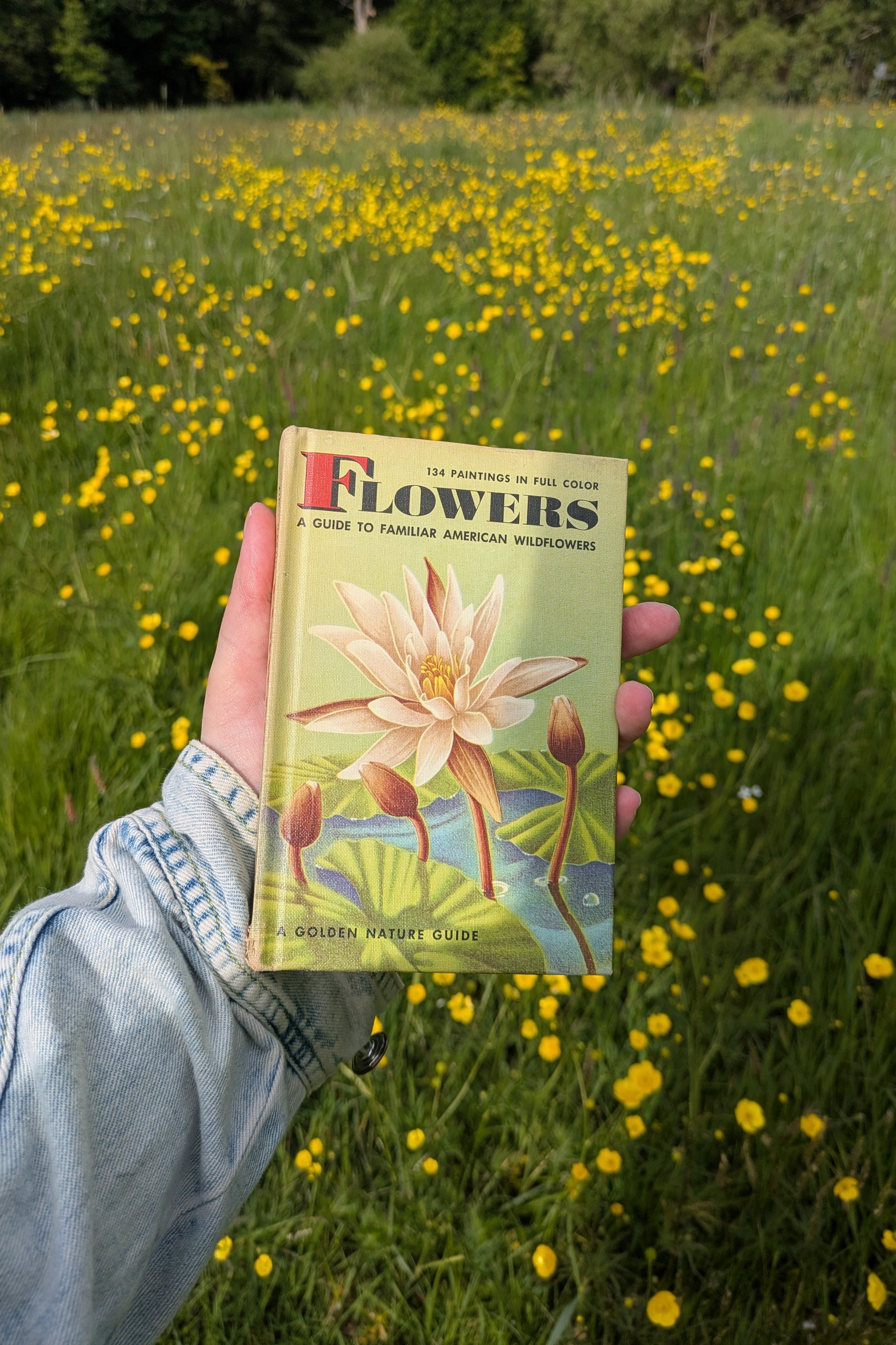 botanical flower books.jpg