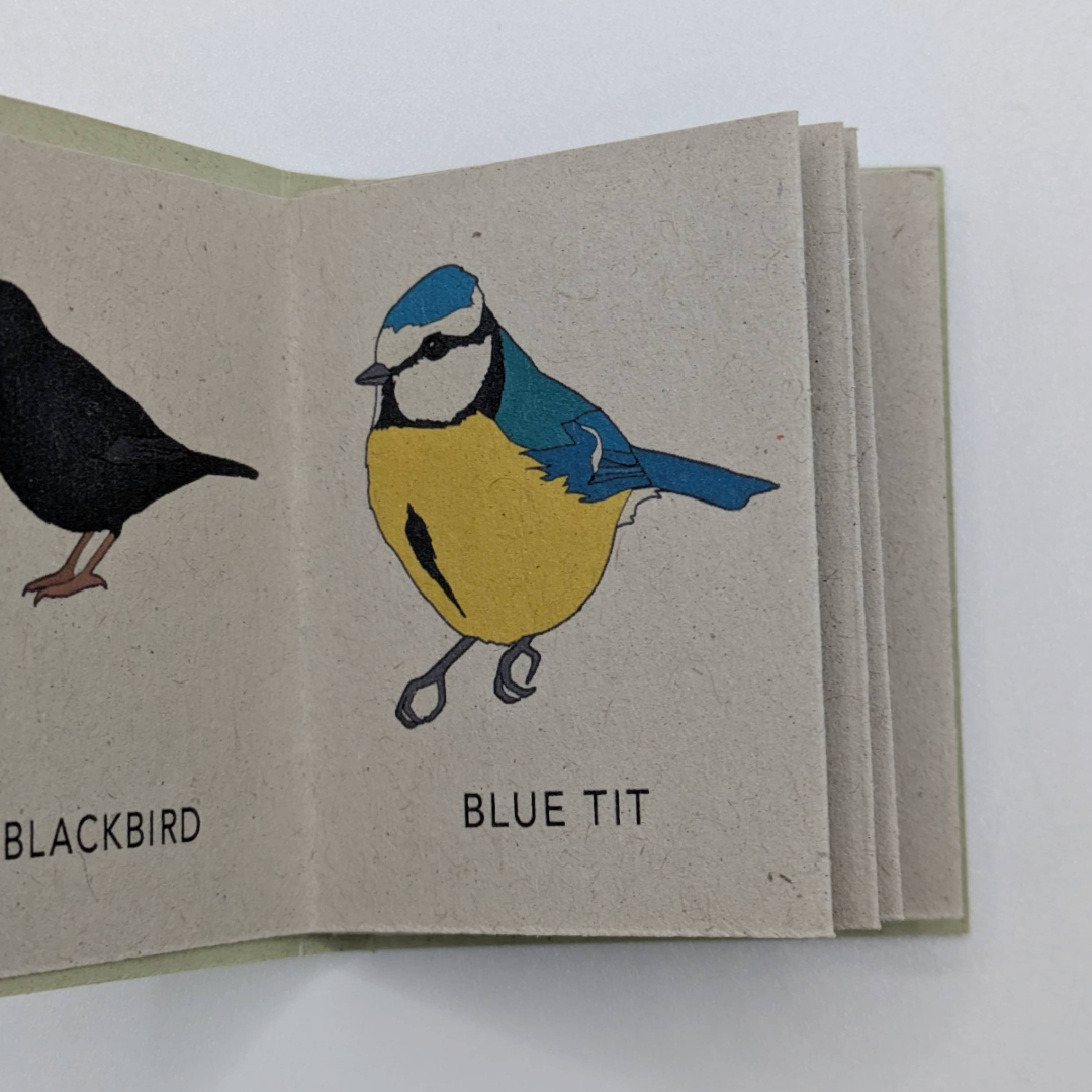 tiny books gifts for natural history (6).png