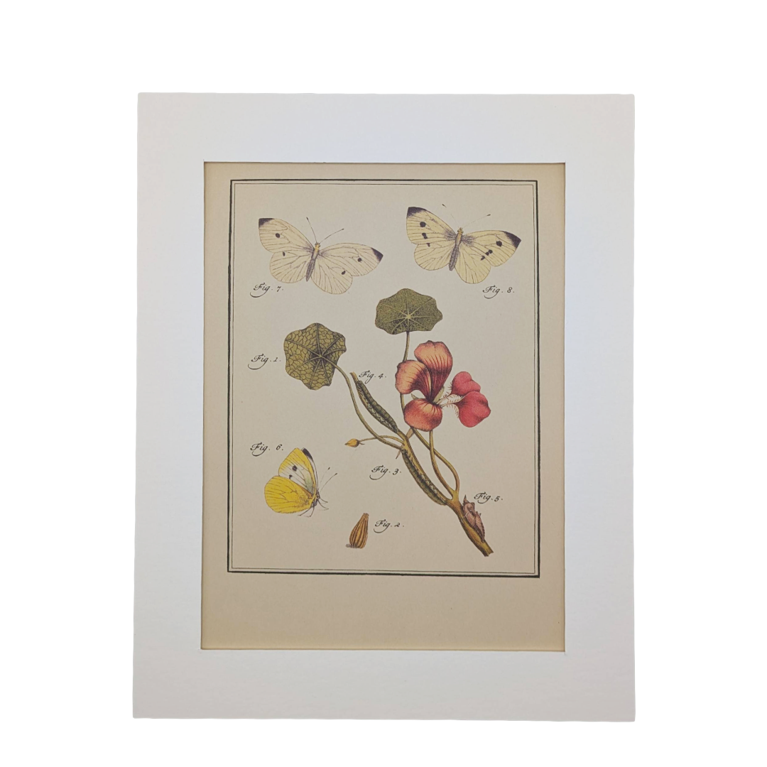 Untitled_20260115_132146.png (Copy)