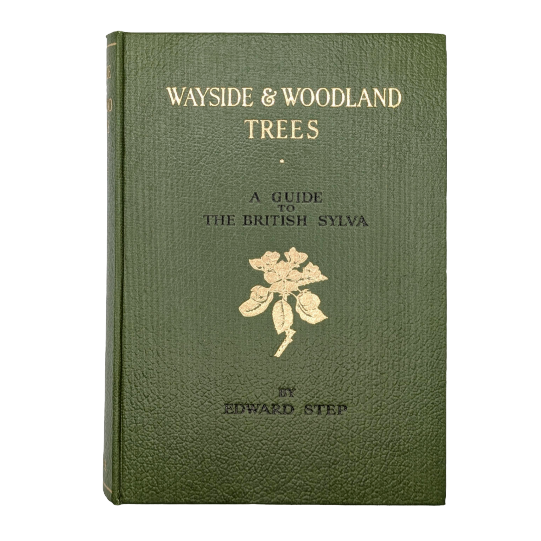Woodland Trees, 1960