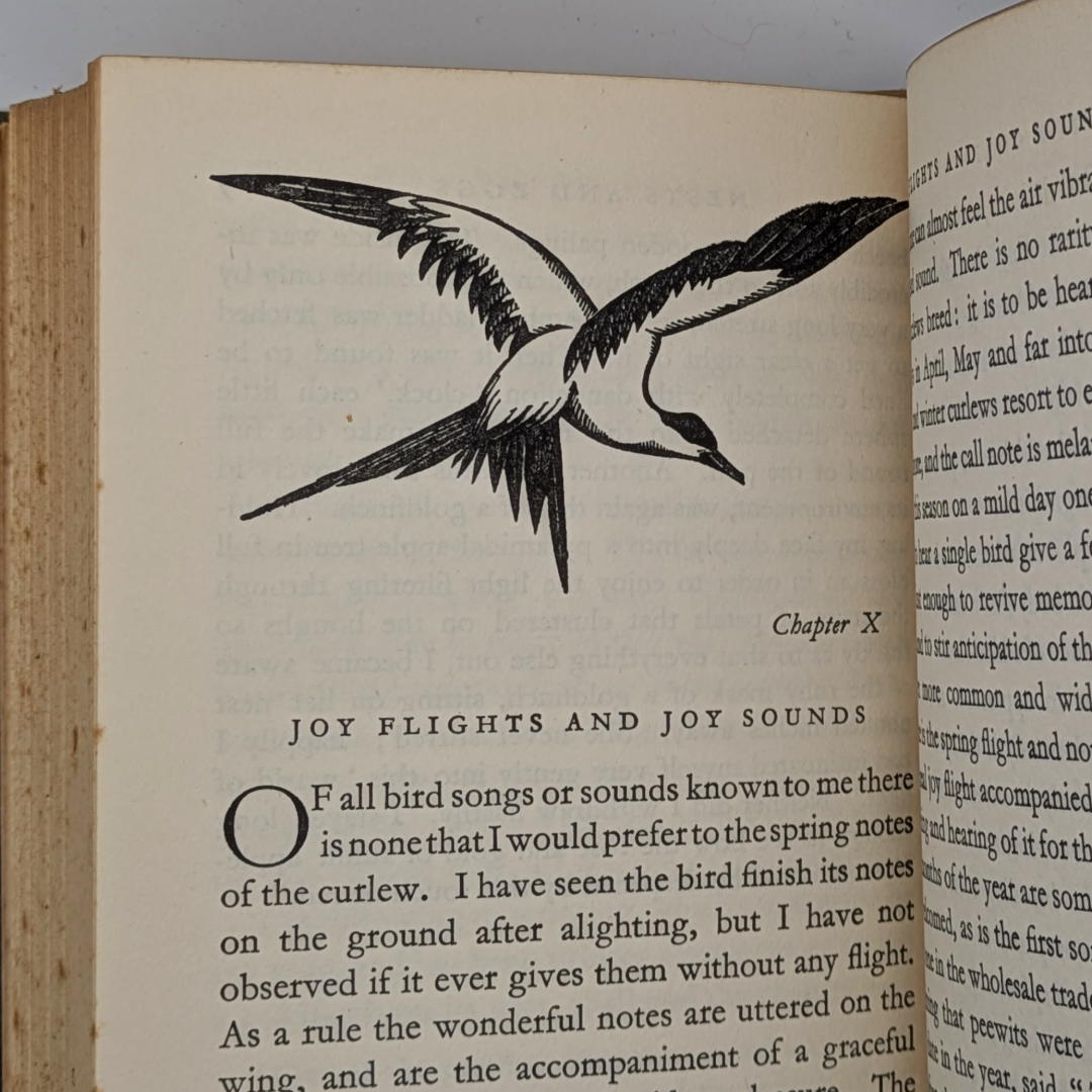 nature books uk (5).png