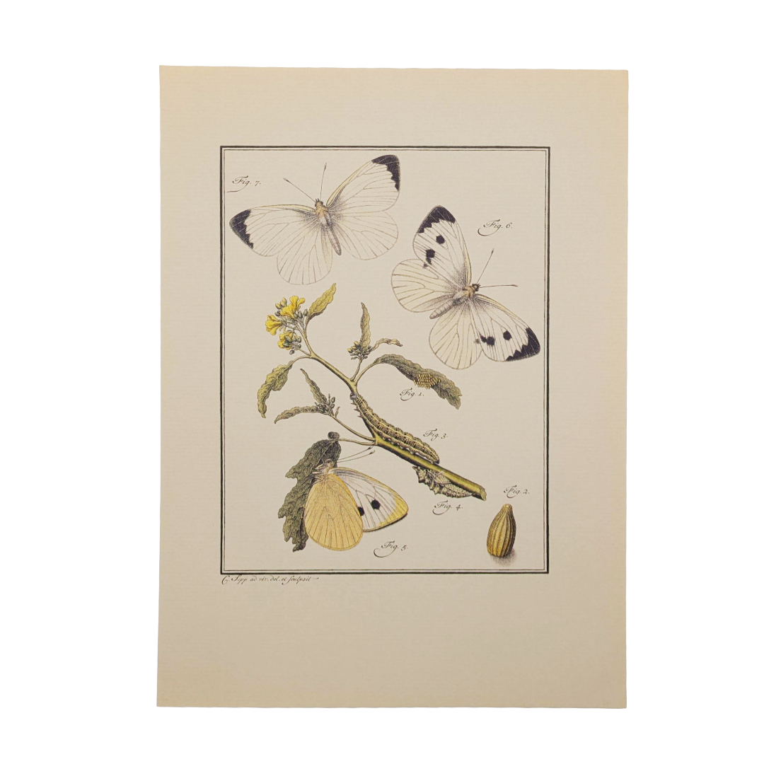 Untitled_20260115_131913.png (Copy)