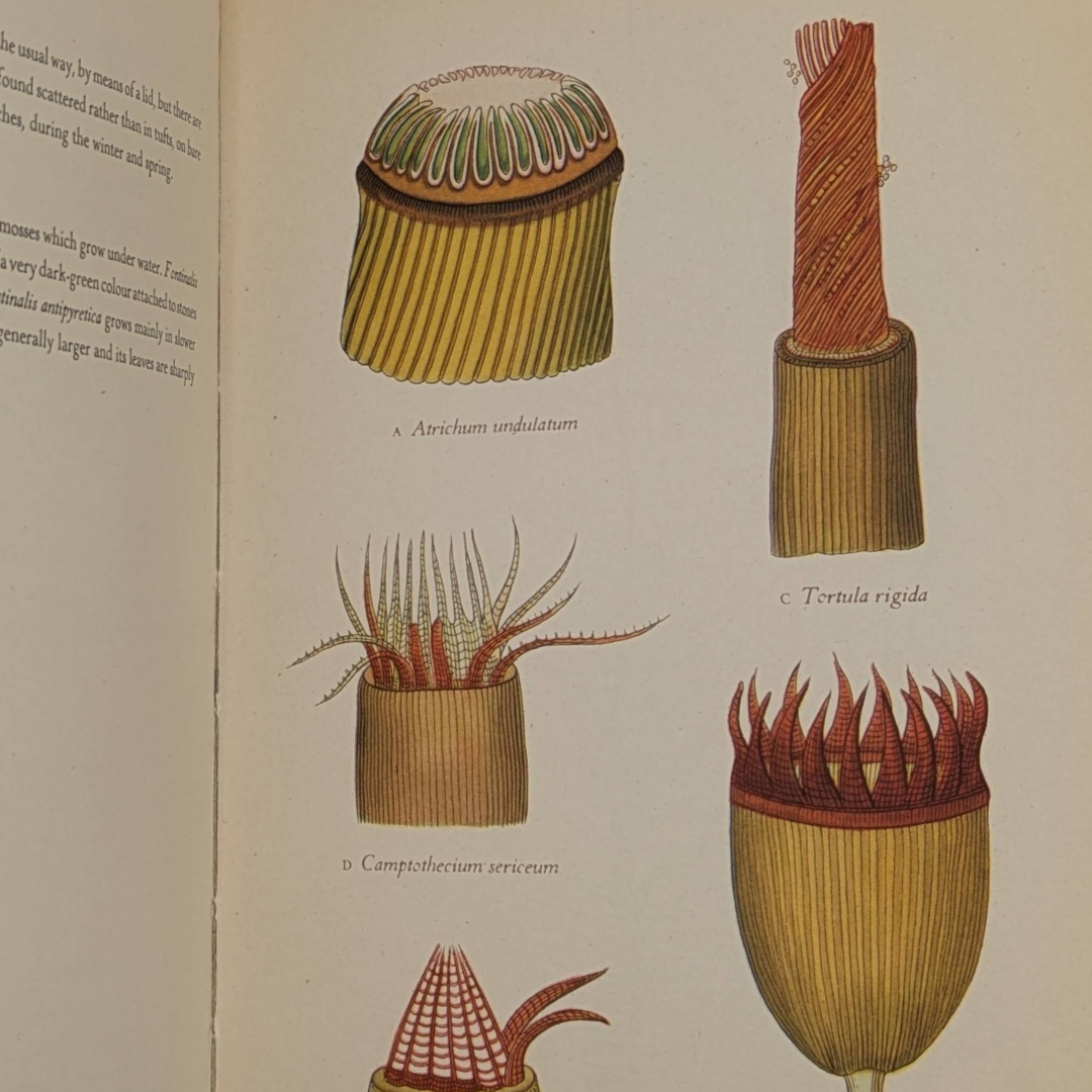 Untitled_20260515_145243.png